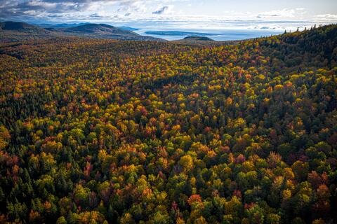 Vue aérienne Charlevoix automne