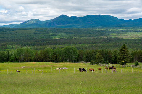 Arrière-pays Saint-Urbain Charlevoix Montagnes