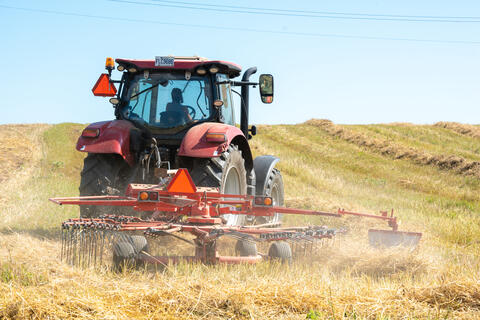 Tracteur faisant la récolte des foins bio Charlevoix