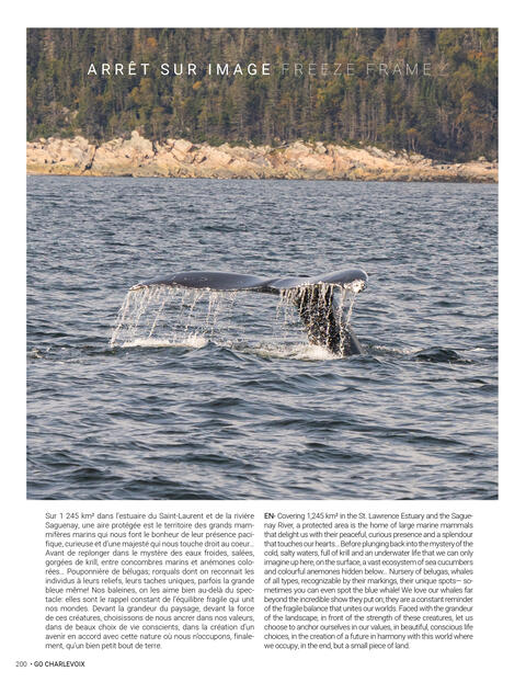 Article, Les baleines du Fjord, Go Charlevoix Renouveau