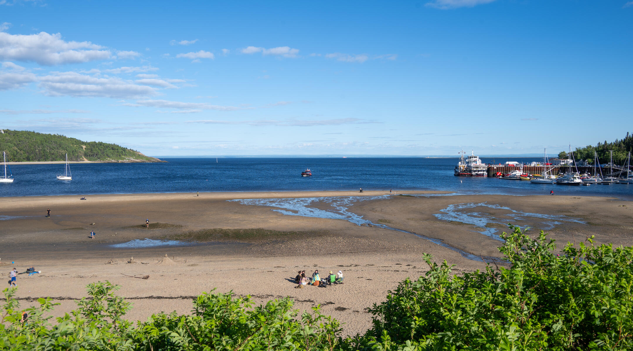 Festival de la chanson de Tadoussac