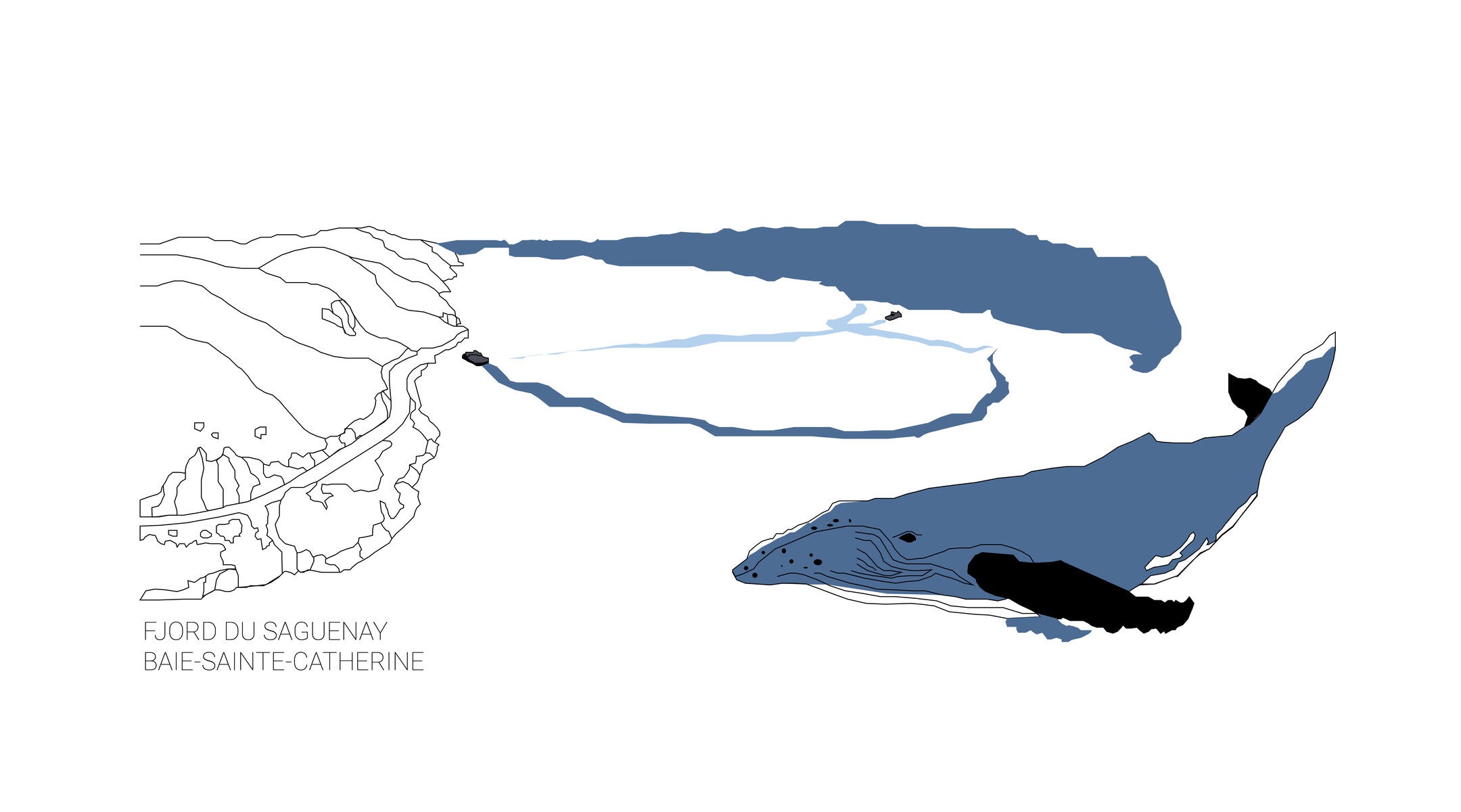 Baleine Fjord du Saguenay