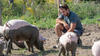 Félix Girard, élevage porcin biologique Les Viandes bio de charlevoix relève agricole