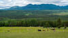 Arrière-pays Saint-Urbain Charlevoix Montagnes