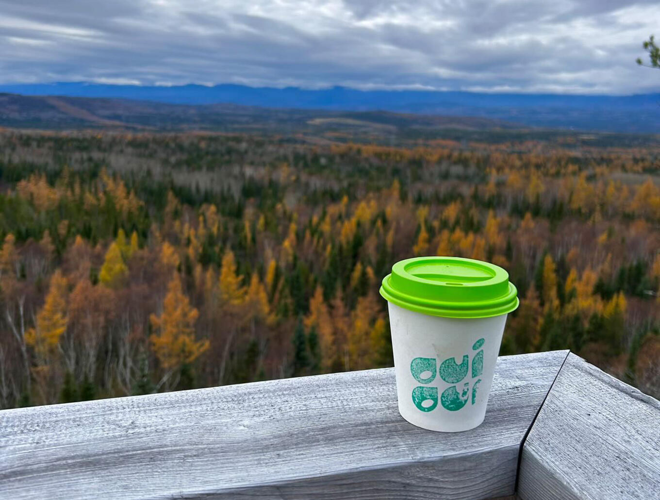 Escapade café Charlevoix Oui Oui Buvette Forestière