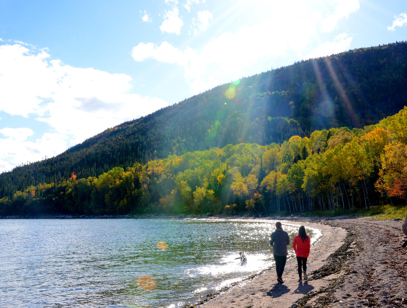 randonnée avec son chien Charlevoix