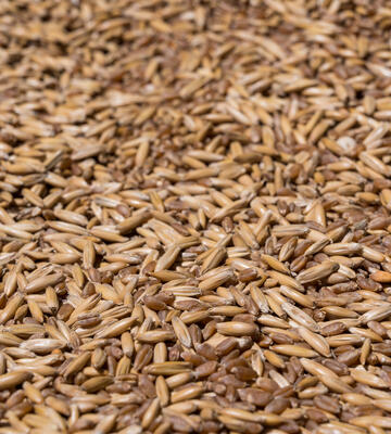 Grains Biologiques les Viande bio de Charlevoix